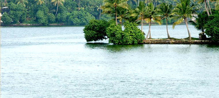 Kerala Tour