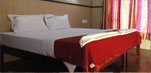 Grace Tours